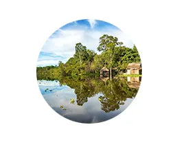 Ekilibre Amazônia: Cosméticos Naturais e Sustentáveis de Origem Amazônica