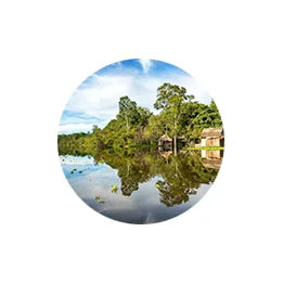 Ekilibre Amazônia: Cosméticos Naturais e Sustentáveis de Origem Amazônica