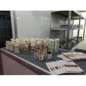 Festival de Negócios do Sebrae em Santarém