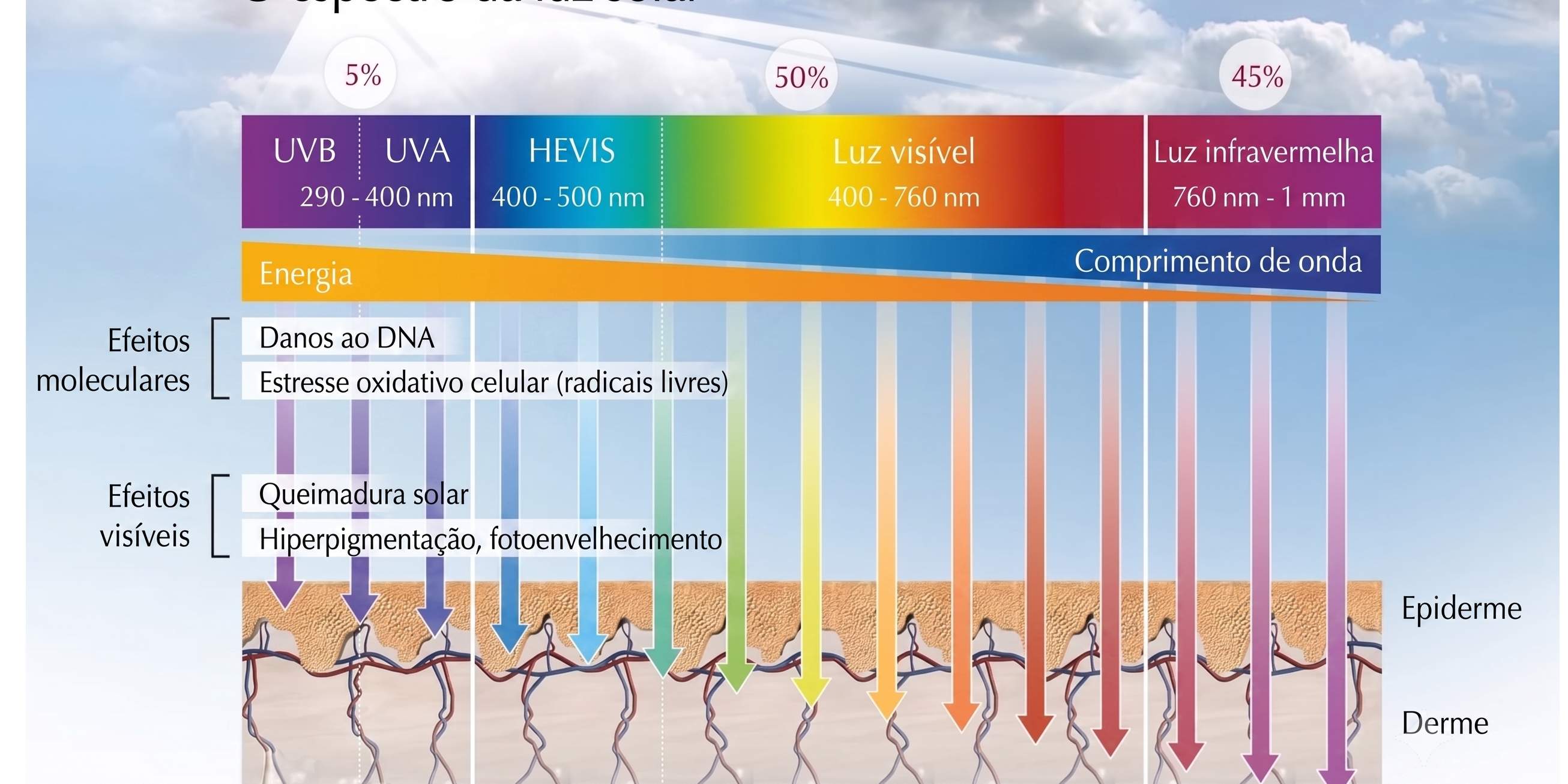 FPS e FPUVA não são só números: entenda a ciência da proteção solar e o impacto de escolher um cosmético natural da Amazônia