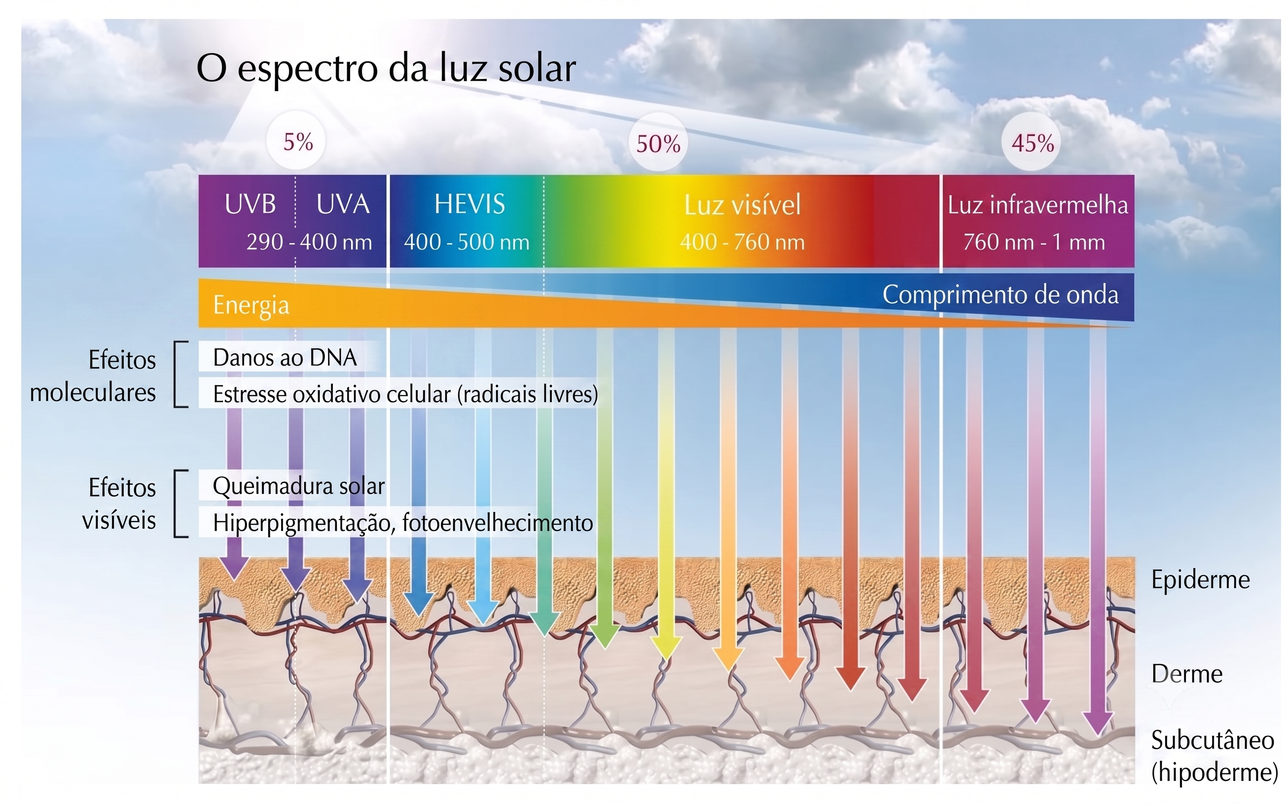 FPS e FPUVA não são só números: entenda a ciência da proteção solar e o impacto de escolher um cosmético natural da Amazônia