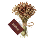 Mini Buquê de Flor Sempre-viva da Amazônia (Edição Especial)