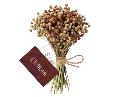 Mini Buquê de Flor Sempre-viva da Amazônia (Edição Especial)