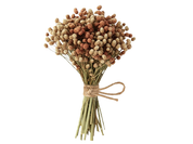 Mini Buquê de Flor Sempre-viva da Amazônia (Edição Especial)