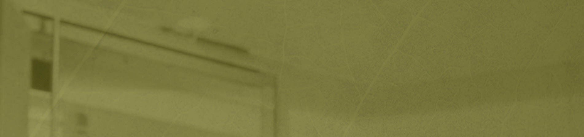bg-flat---1902x448px.jpg
